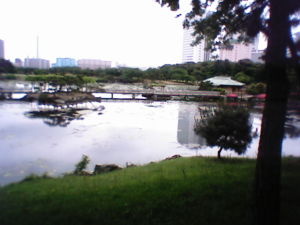 浜離宮庭園